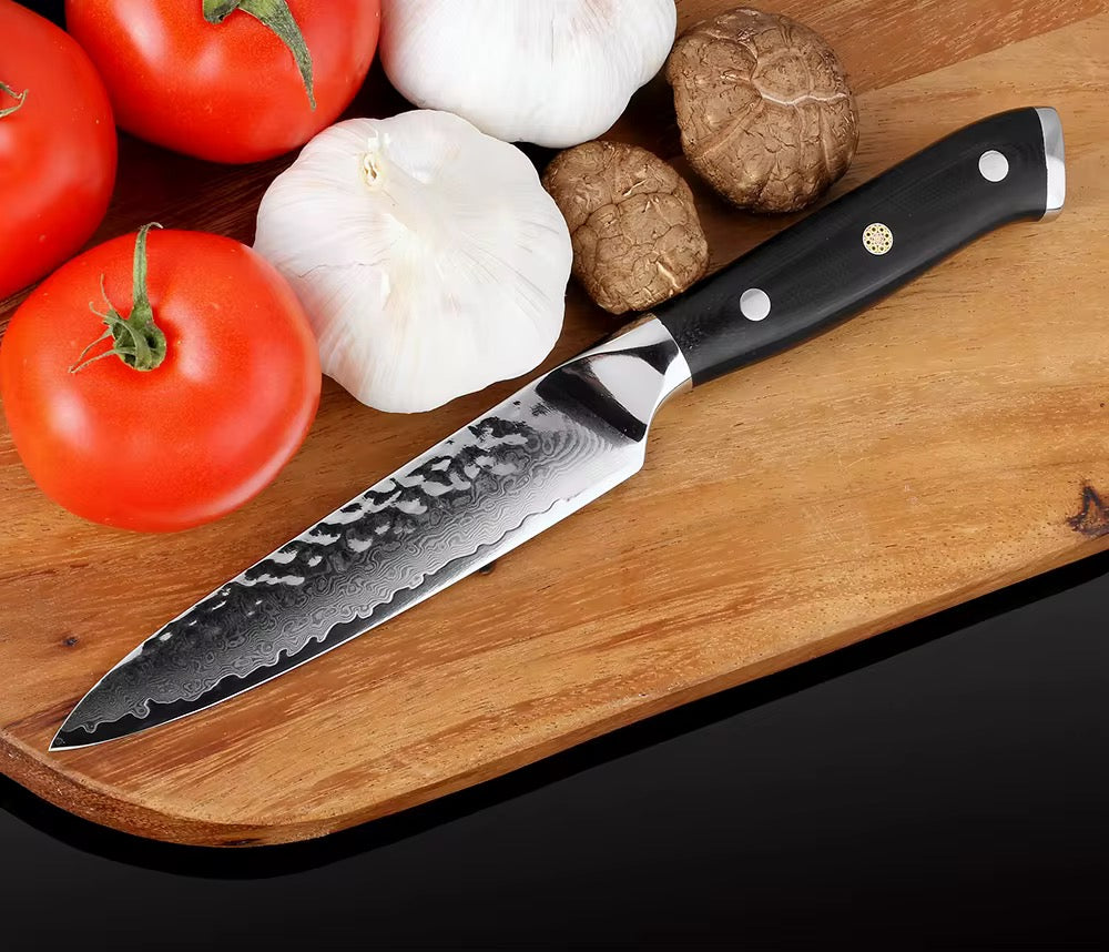 Damascus steel kitchen knife G10