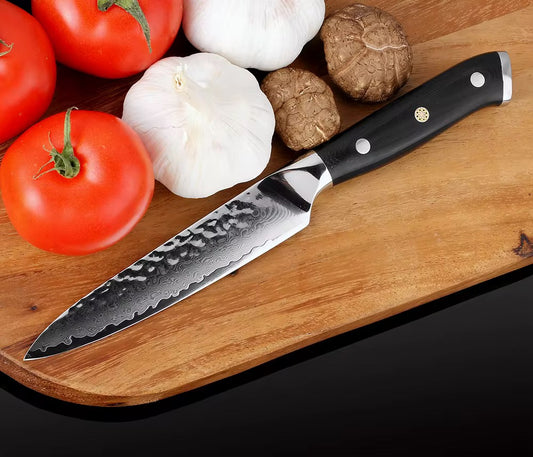 Damascus steel kitchen knife G10