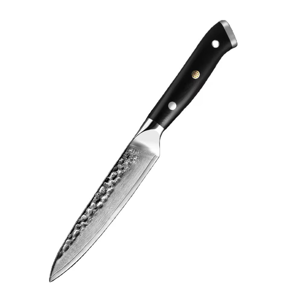 Damascus steel kitchen knife G10